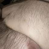 superchubuk from onlyfans